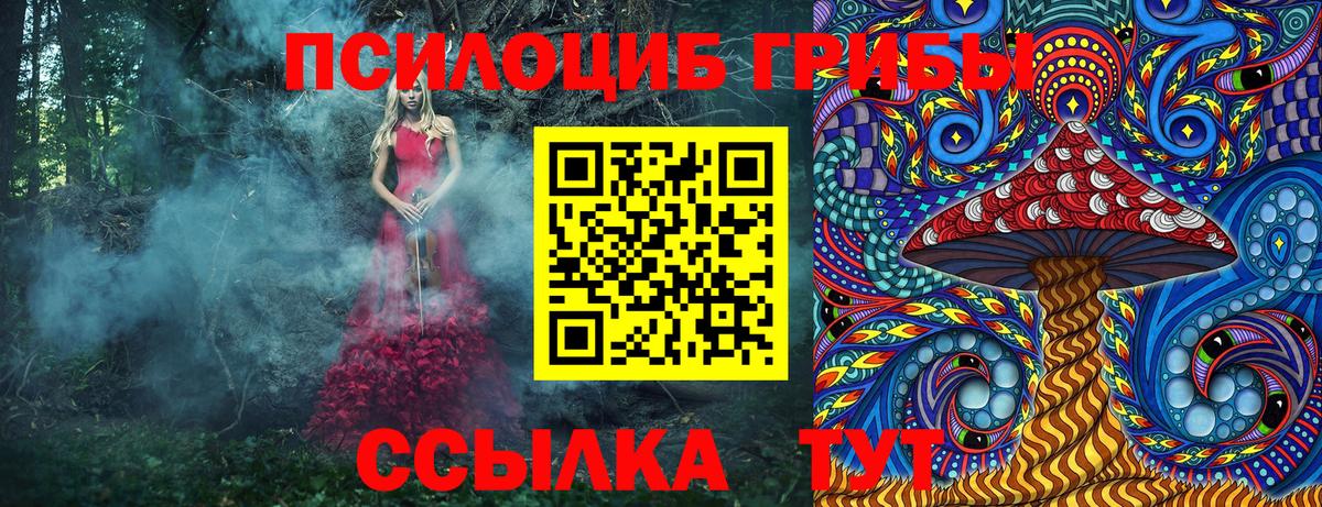 Псилоцибиновые грибы Cubensis  Вход с VPN  Серов 